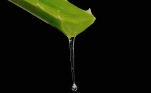 A piece of green food is being poured into the air.