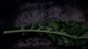 A close up of some green leaves on a black background