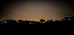 A dark sky with trees in the foreground.