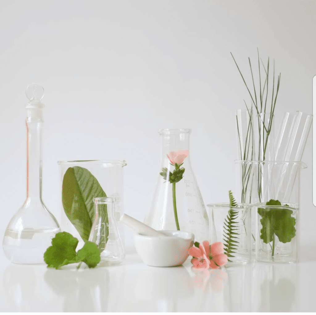 A table with several glass vases filled with plants.