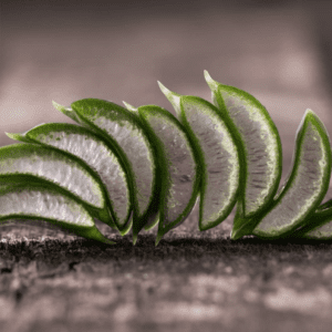 A close up of sliced green leaves on the ground